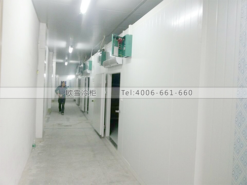 藥品冷藏庫(kù).jpg 藥品冷藏庫(kù).jpg
