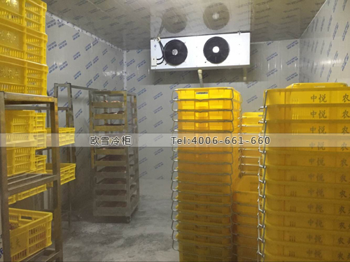 瓜果蔬菜保鮮庫.jpg 瓜果蔬菜保鮮庫.jpg