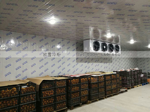 冷鏈物流冷庫(kù).jpg
