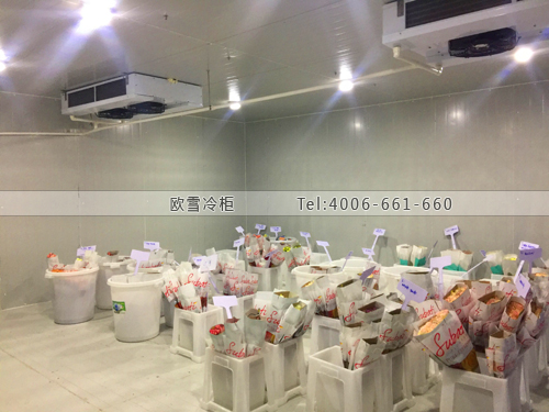 鮮花保鮮冷庫.jpg 鮮花保鮮冷庫.jpg