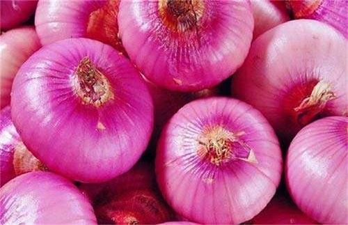 洋蔥冷庫(kù).jpg 洋蔥冷庫(kù).jpg