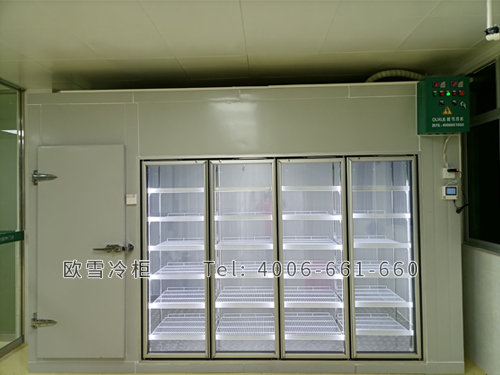 后補(bǔ)式醫(yī)用冷庫設(shè)計(jì).png