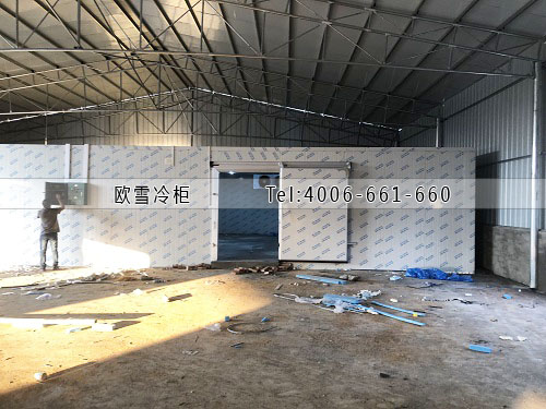 1669540627644385.jpg 1.jpg