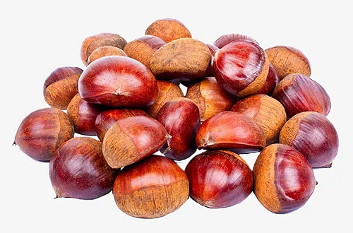 板栗冷庫.png 板栗冷庫.png