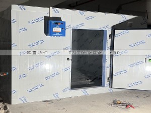 深圳市寶安區(qū)35立方的工業(yè)冷庫安裝案例