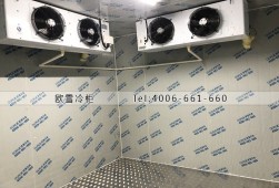 冷庫(kù)如何預(yù)防異味產(chǎn)生？異味產(chǎn)生原因？