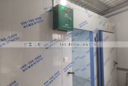 水果冷庫-湖南20立方的小型水果保鮮冷庫安裝